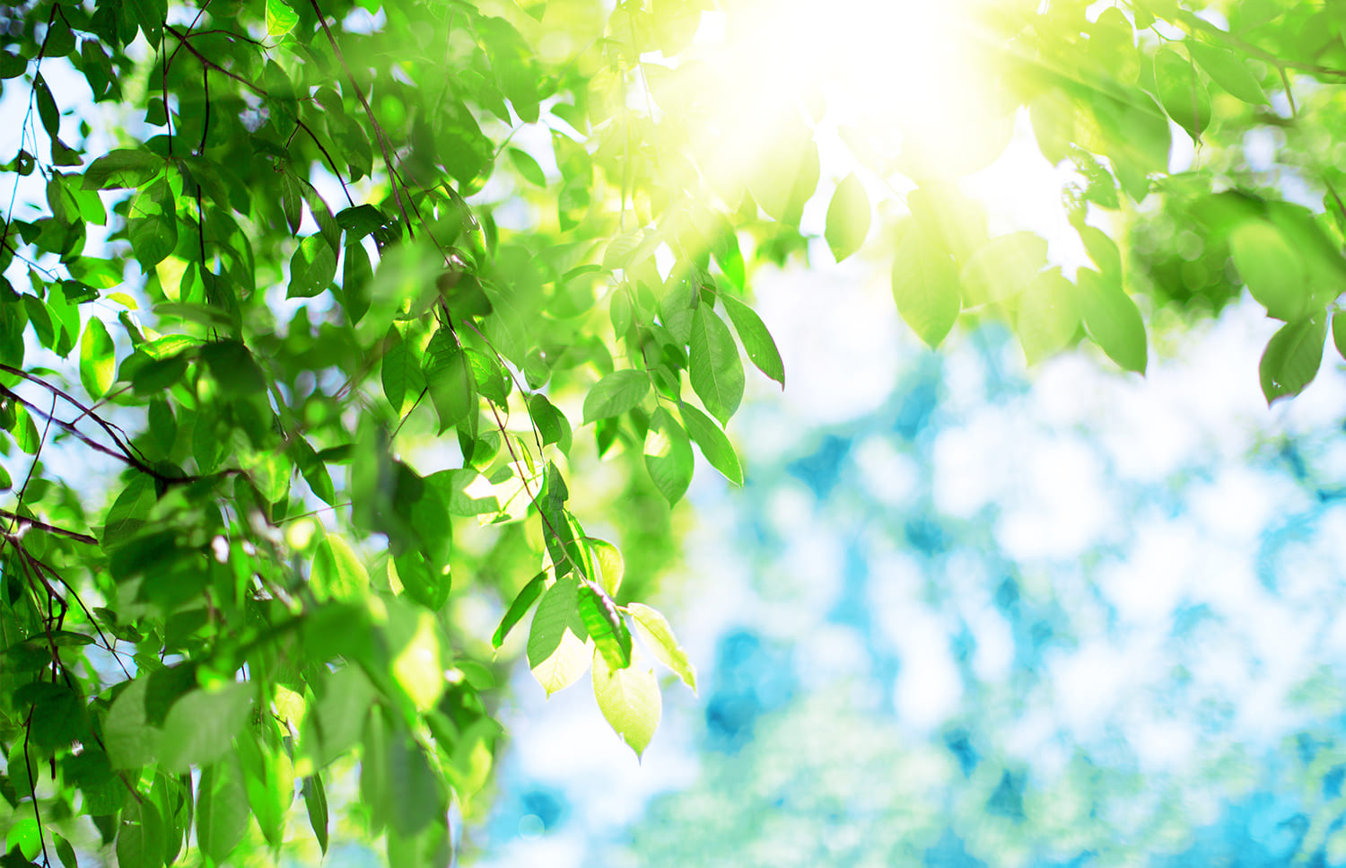 Trifinity's environmental and waste-management commitment